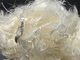 Putih Polyphenylene Sulfide 2D 51MM Untuk Nonwoven Industri